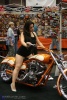 Can you spot the motorcycle in this photo?